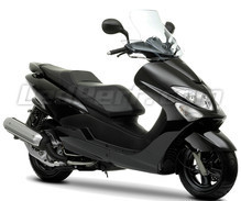 Skyliner 125