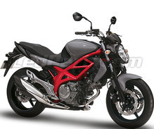 Gladius 650