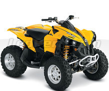 Renegade 800 G1