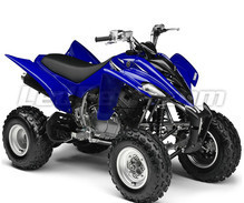 YFM 350 R Raptor