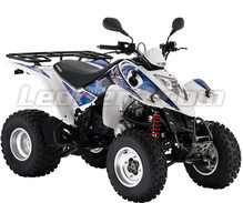 Maxxer 250