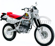 XR 600