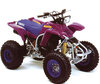 čtyřkolka Yamaha YFS 200 Blaster (1990 - 2002) (1990 - 2002)