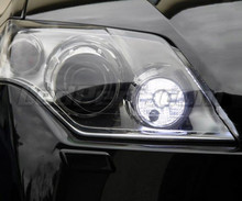 Pack denních světel na LED (bílý xenon) pro Renault Laguna 3