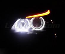 Balíček LED angel eyes BMW řady 5 E60 E61 Ph 2 (LCI) - S původním xenonem - Standard