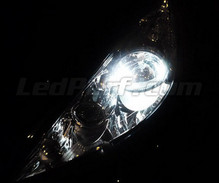 Pack LED poziční světla (bílý xenon) pro Peugeot 207