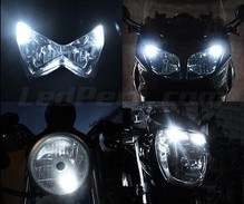 Balíček LED pozičních světel (bílý xenon) pro Harley-Davidson V-Rod Muscle 1250